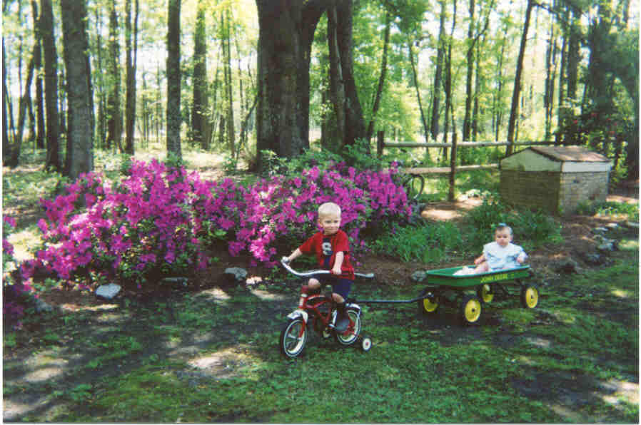 Grandchildren.jpg (37651 bytes)