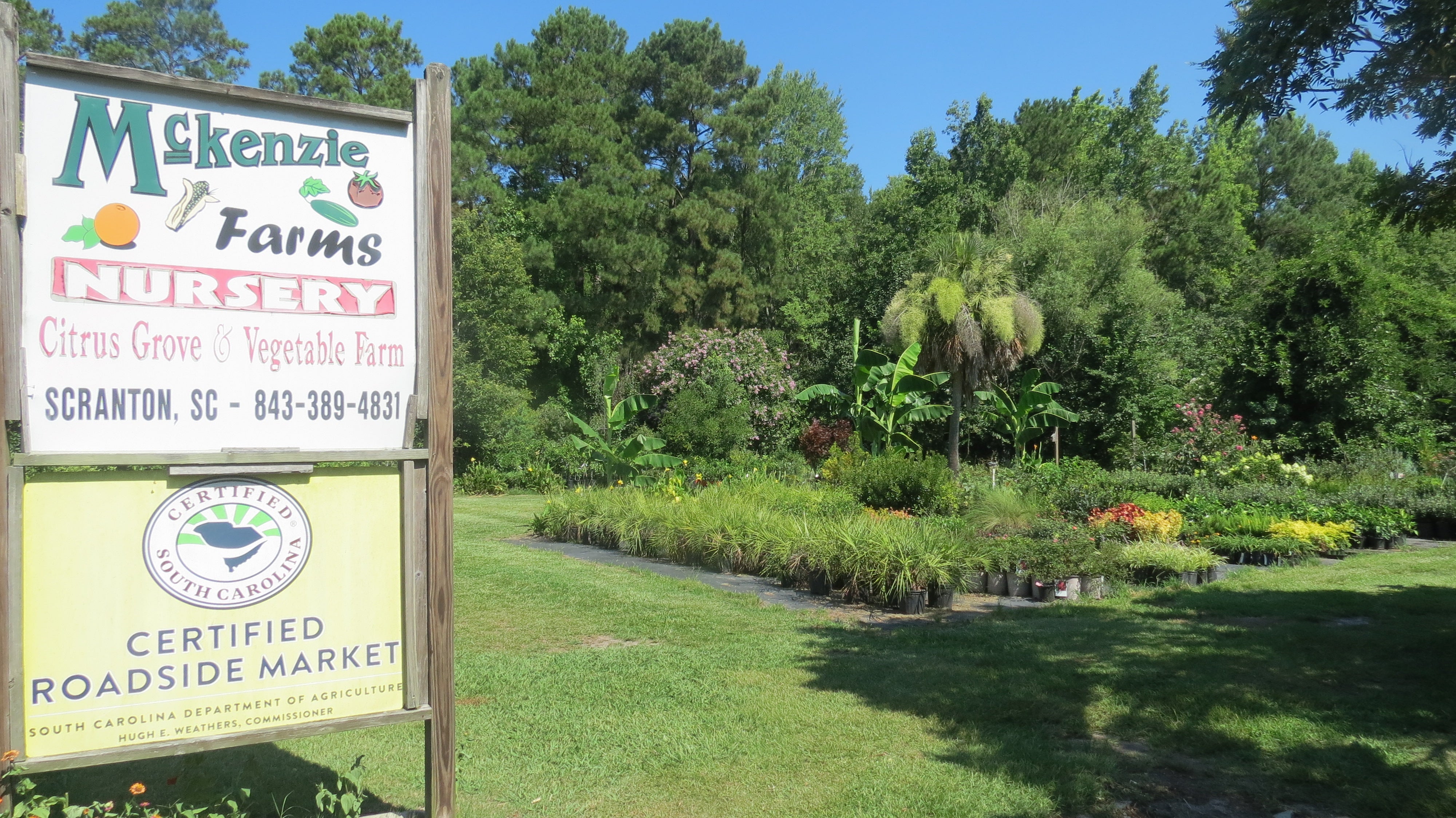 McKenzie Farms & Nursery – McKenzie Farms & Nursery